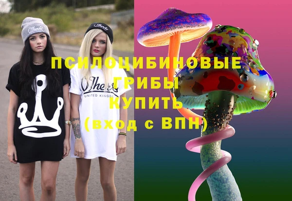тгк Зеленодольск